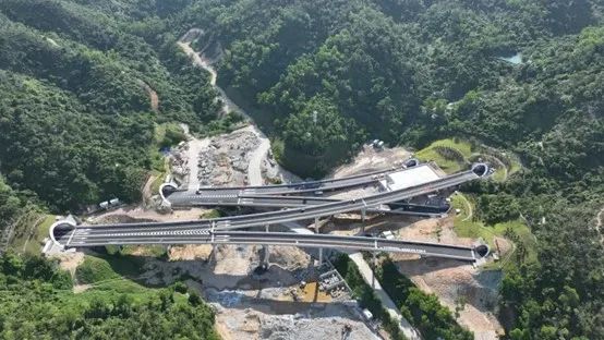 1699520555325942.jpg 4.jpg