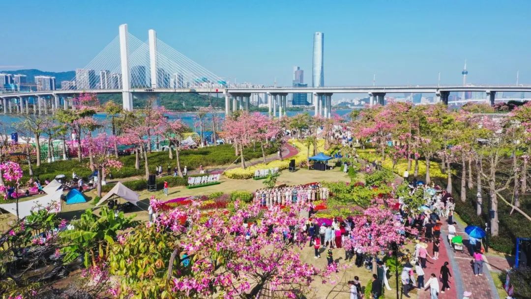 1702363802689814.jpg 12.jpg