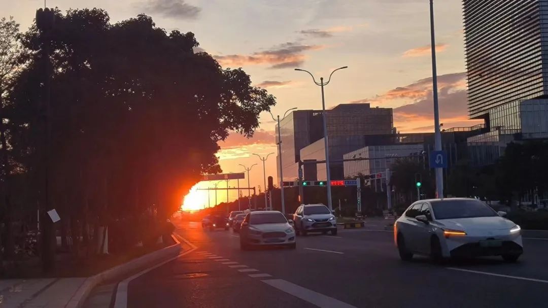 1702955134174068.jpg 25.jpg