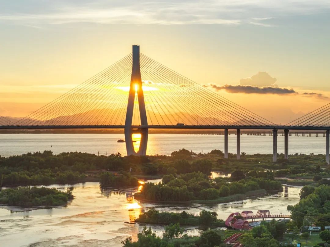 1740712331502018.jpg 9.jpg